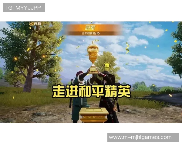 专访周军揭秘和平精英成功背后的策略与创新之路 专访周军揭秘和平精英成功背后的策略与创新之路